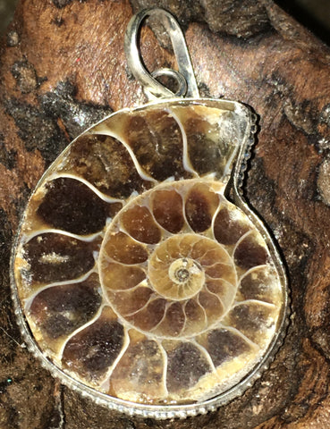 Ammonite Pendant